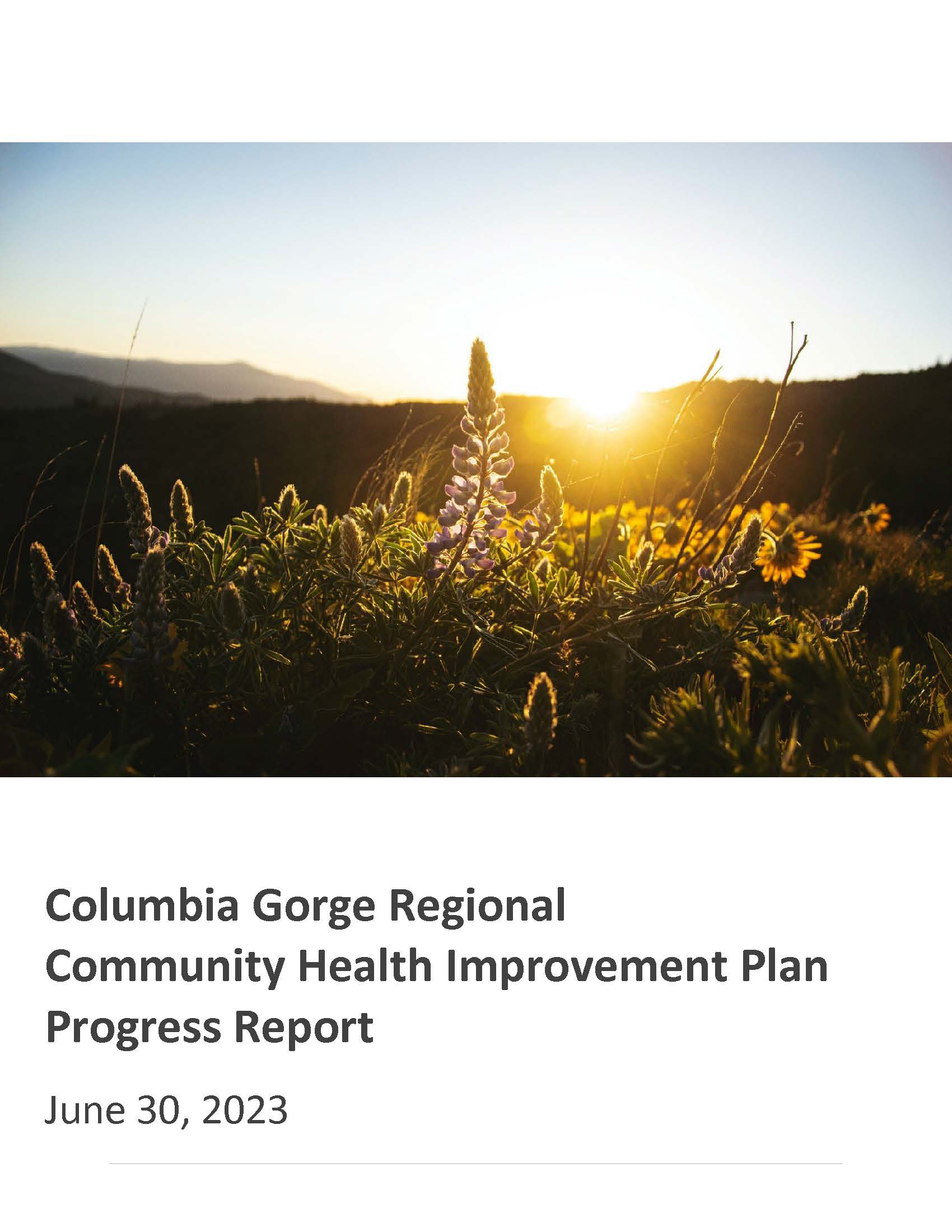 2023 Columbia Gorge Regional Health Improvement Plan Progress Report cover page. Featuring a photo of the Columbia River between Oregon and Washington State with purple flowers blooming in the foreground.
